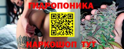 не бодяженный Сланцы